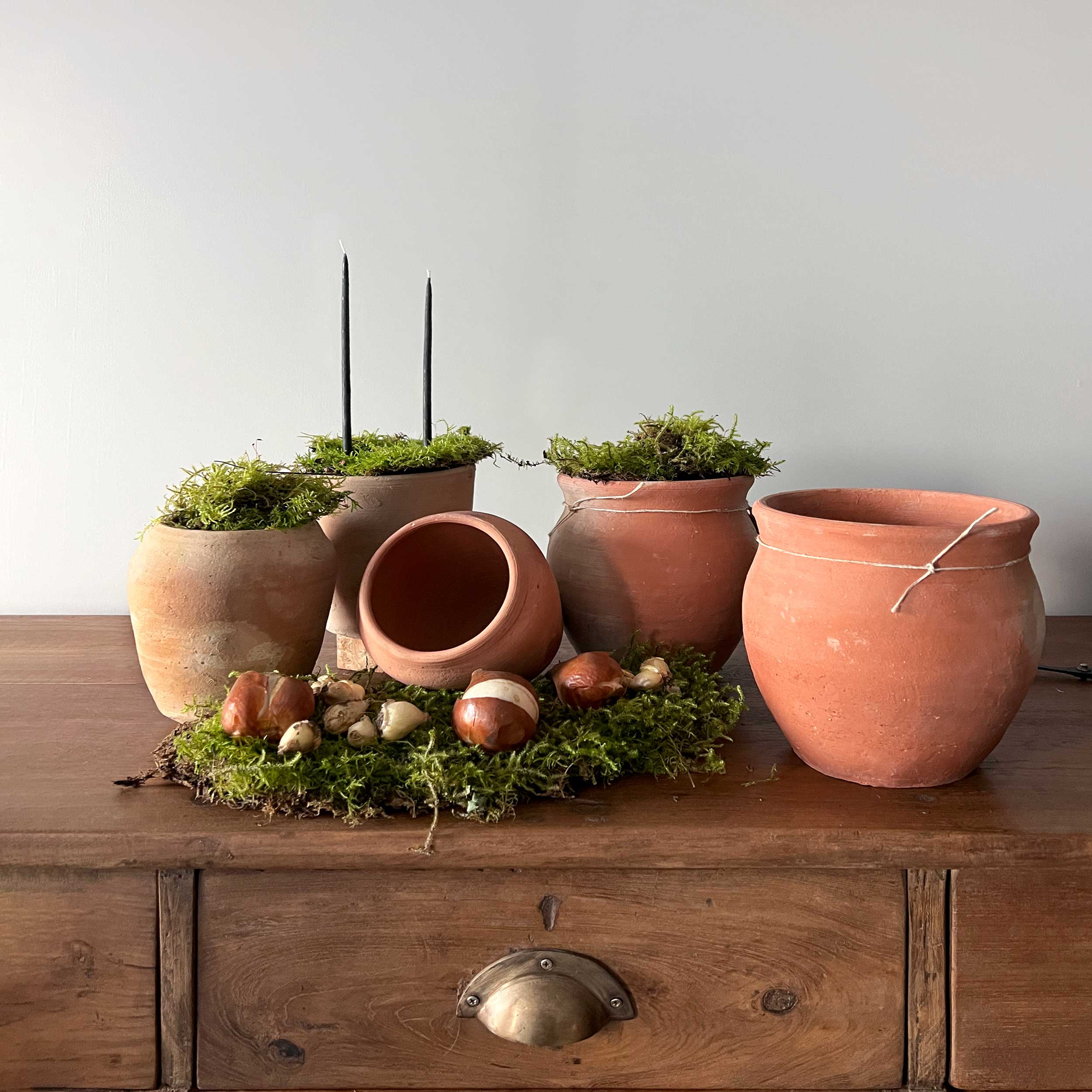 Decorative Terracotta Plant Pots: Your Ultimate Guide